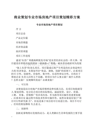 商业策划专业市场房地产项目策划精彩方案.docx