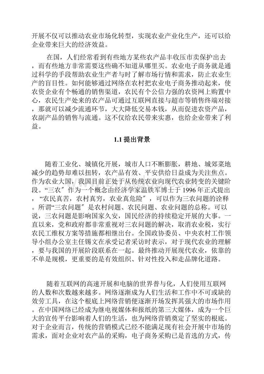 三农电子商务策划.docx_第2页