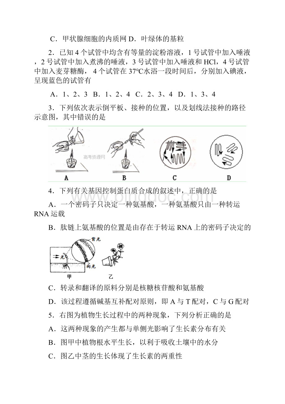 最新届广东省揭阳市高三第一次高考模拟考试生物试题及答案 精品Word文件下载.docx_第2页