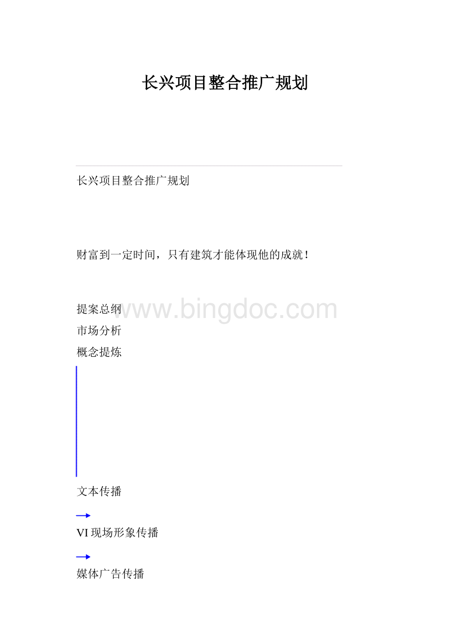 长兴项目整合推广规划.docx