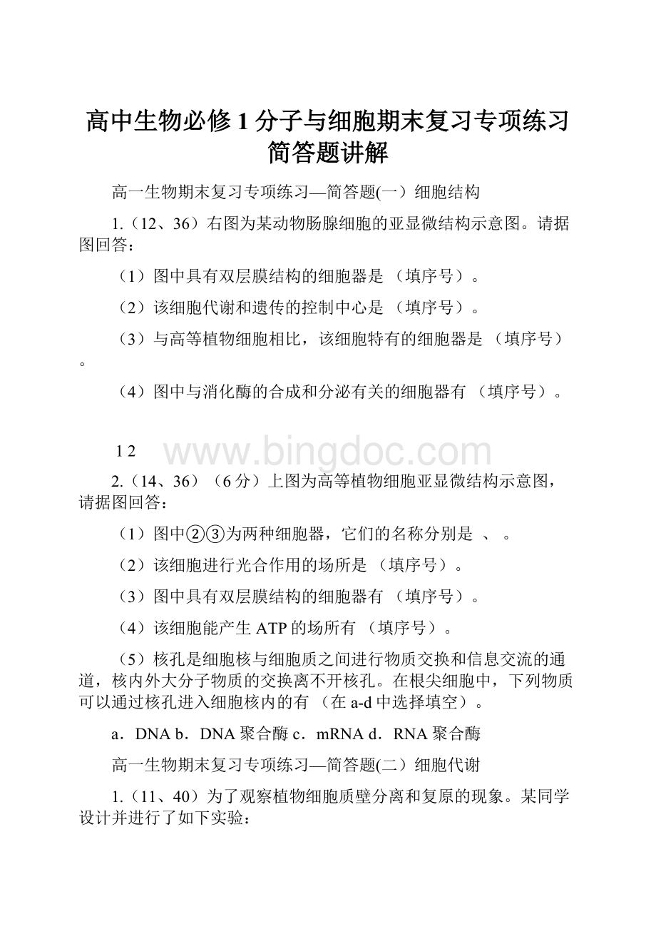 高中生物必修1分子与细胞期末复习专项练习简答题讲解Word格式.docx