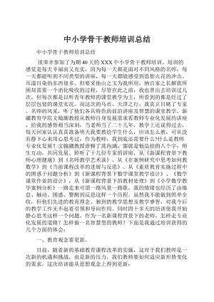 中小学骨干教师培训总结.docx