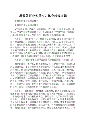 暑假外贸业务员实习体会精选多篇Word下载.docx