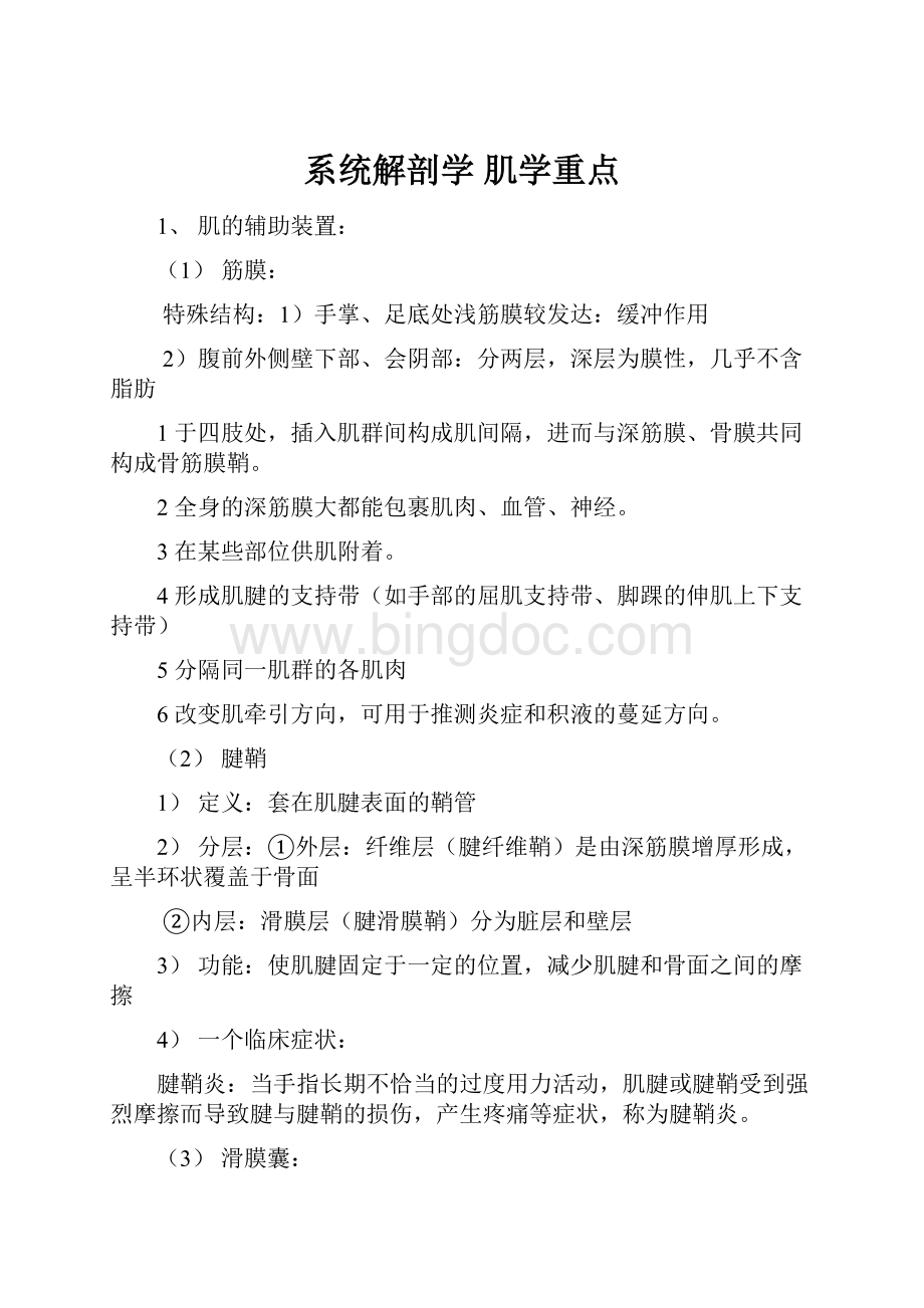 系统解剖学 肌学重点Word文件下载.docx_第1页