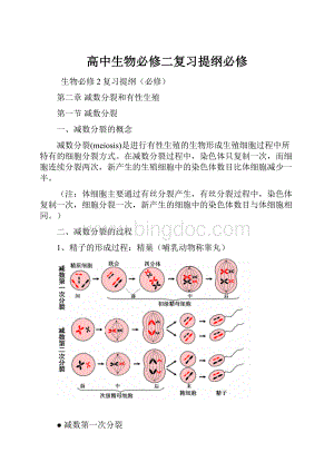 高中生物必修二复习提纲必修.docx