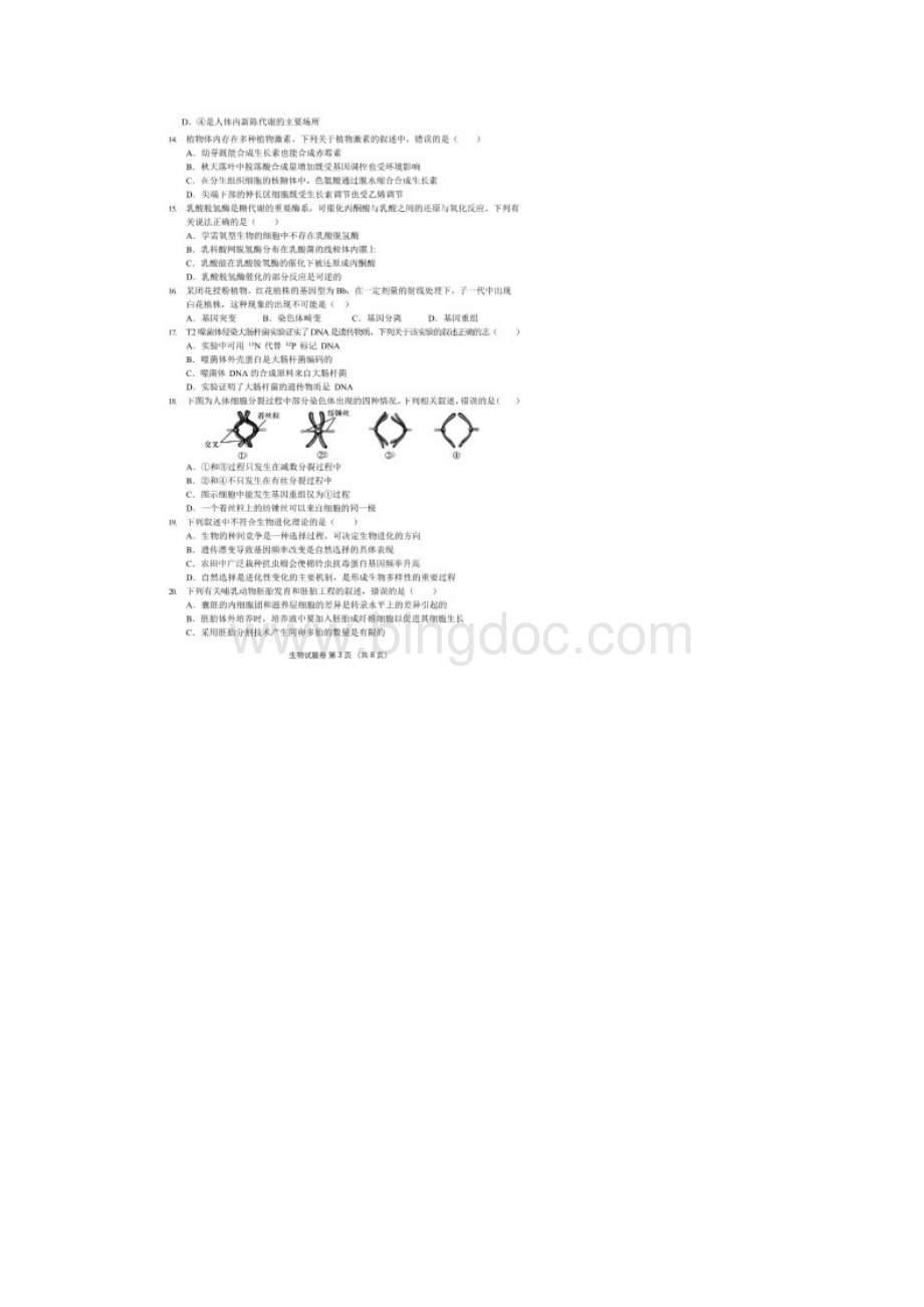 金丽衢十二校高三联考金丽衢十二校学年高三第二次联考 生物高清含答案.docx_第3页