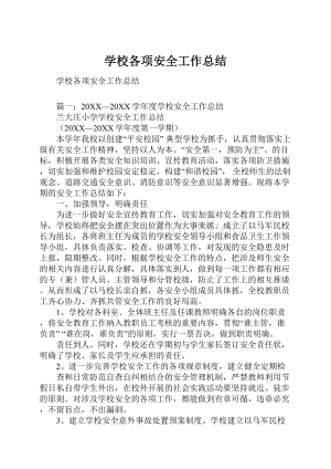 学校各项安全工作总结Word文档格式.docx