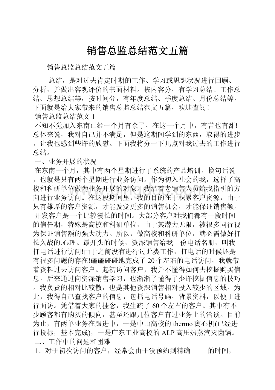 销售总监总结范文五篇Word格式.docx