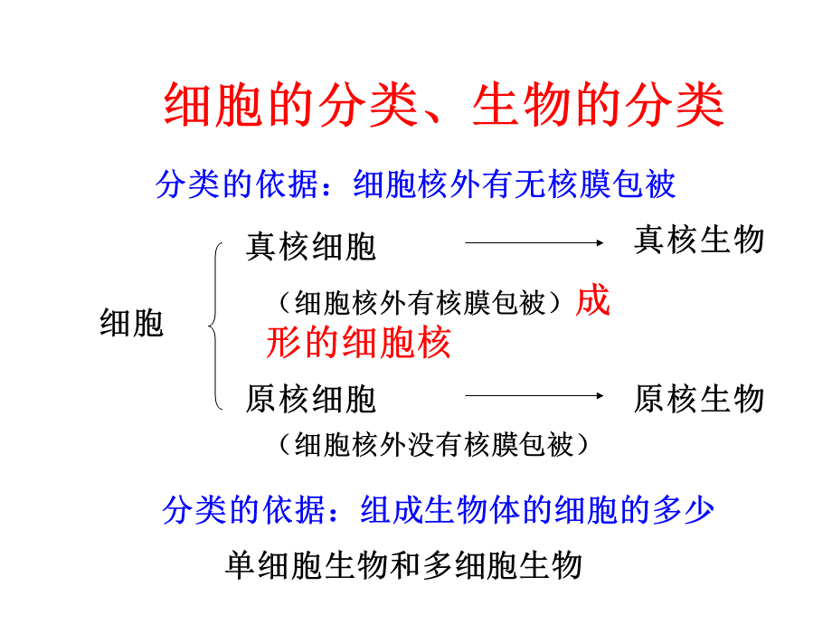 济南版生物复习课件第二章观察生物的结构.ppt_第2页