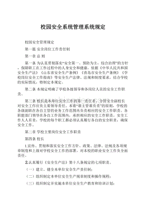 校园安全系统管理系统规定.docx