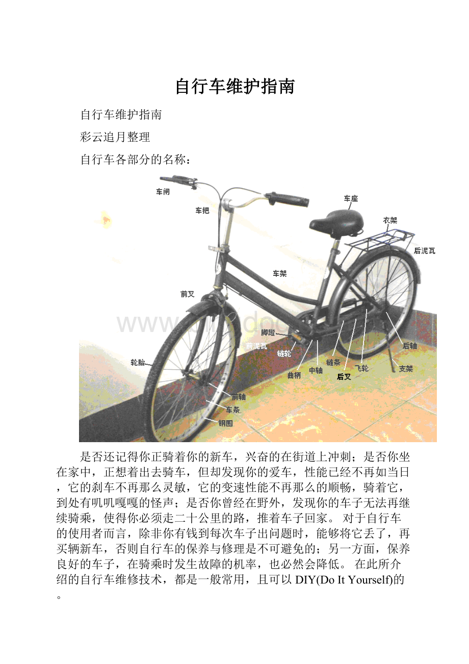 自行车维护指南.docx_第1页