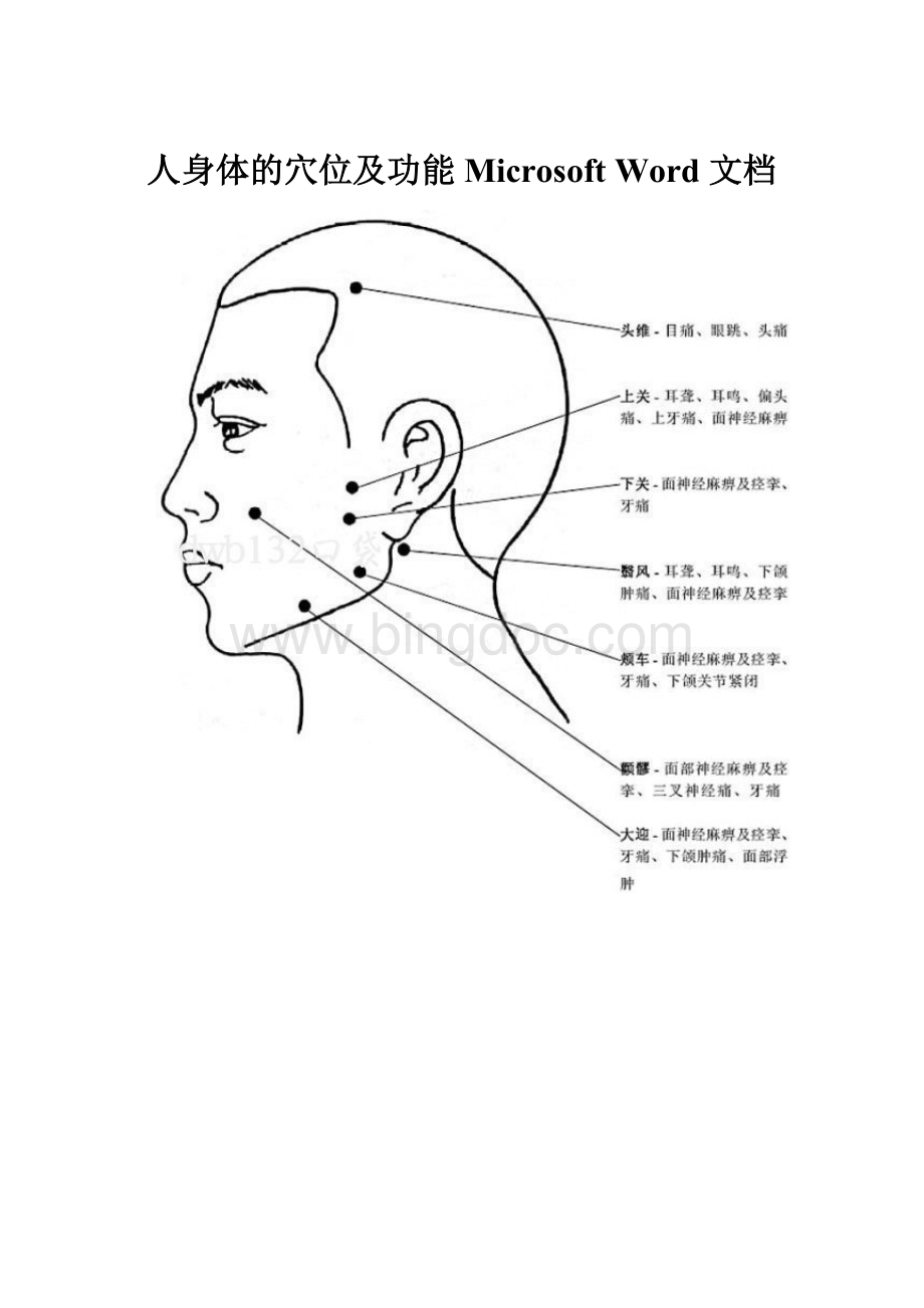 人身体的穴位及功能 Microsoft Word 文档.docx_第1页