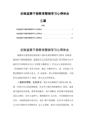 纪检监察干部教育整顿学习心得体会三篇Word文档格式.docx