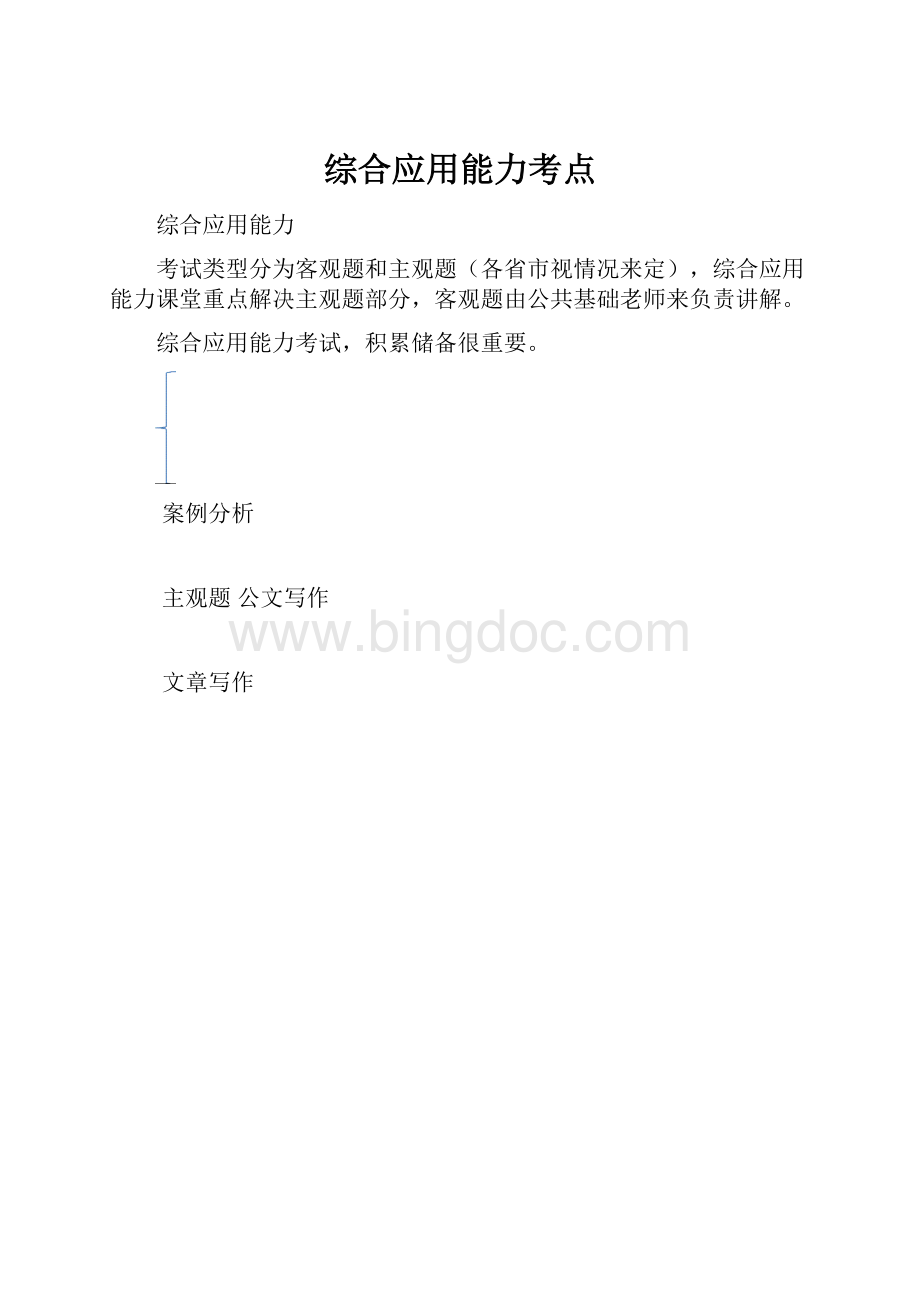 综合应用能力考点文档格式.docx