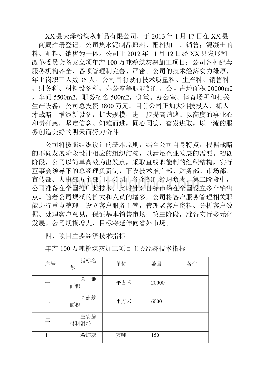 年产100万吨粉煤灰加工项目可行性研究报告Word格式文档下载.docx_第3页