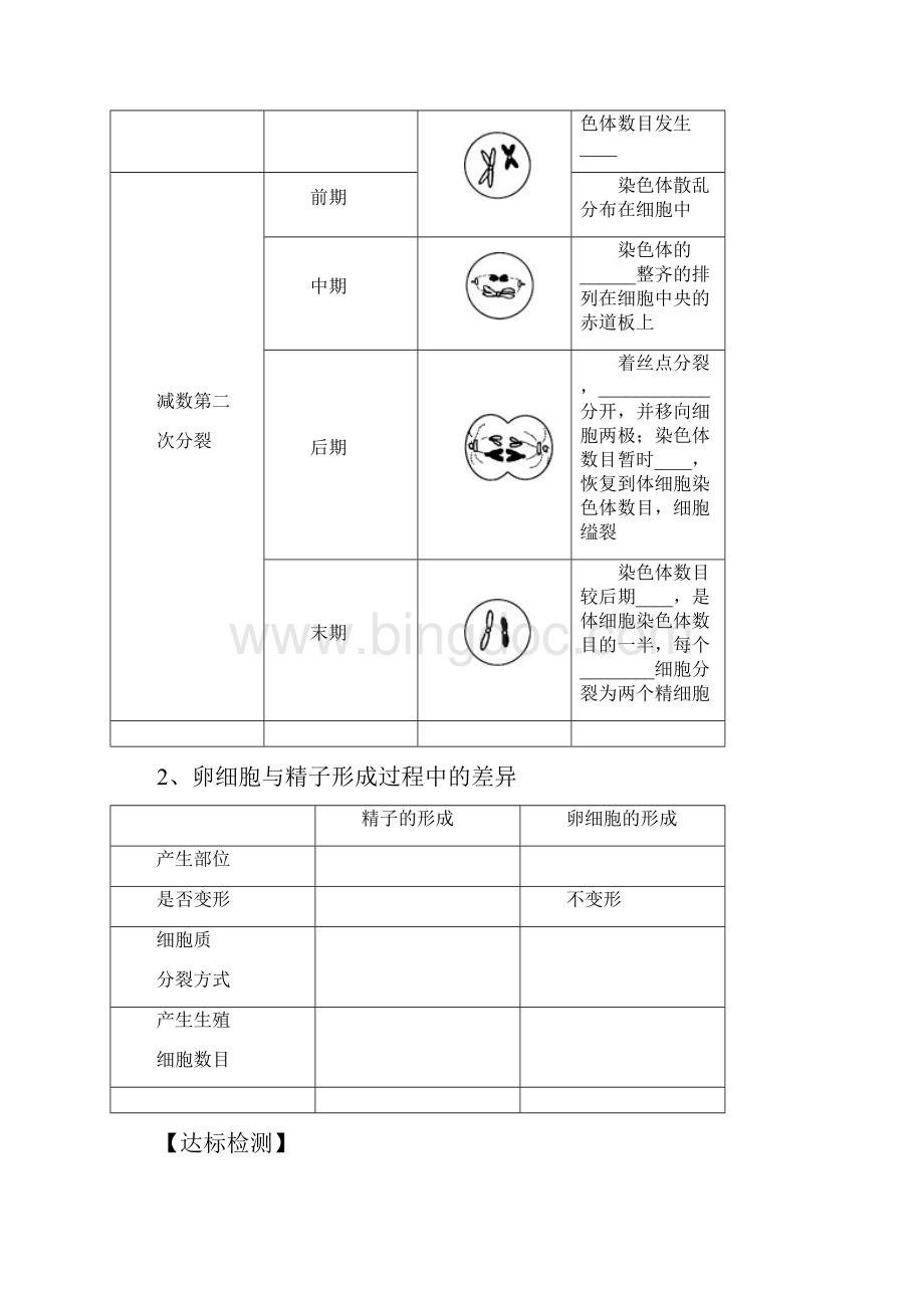 高三生物一轮复习 减数分裂与受精作用 学案讲义.docx_第3页