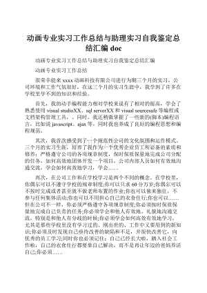 动画专业实习工作总结与助理实习自我鉴定总结汇编docWord格式.docx