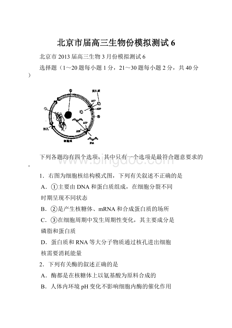 北京市届高三生物份模拟测试6Word文件下载.docx_第1页