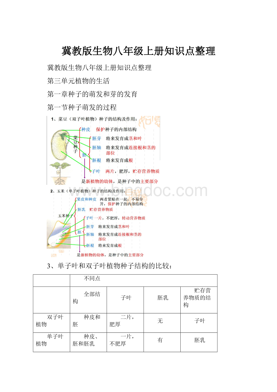 冀教版生物八年级上册知识点整理Word格式文档下载.docx