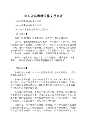 山东省高考满分作文及点评Word文档格式.docx