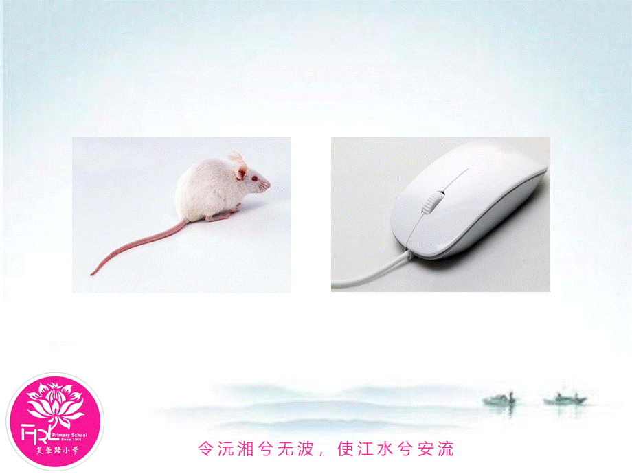 五年级信息技术上册《驯服“小老鼠”》.ppt_第3页