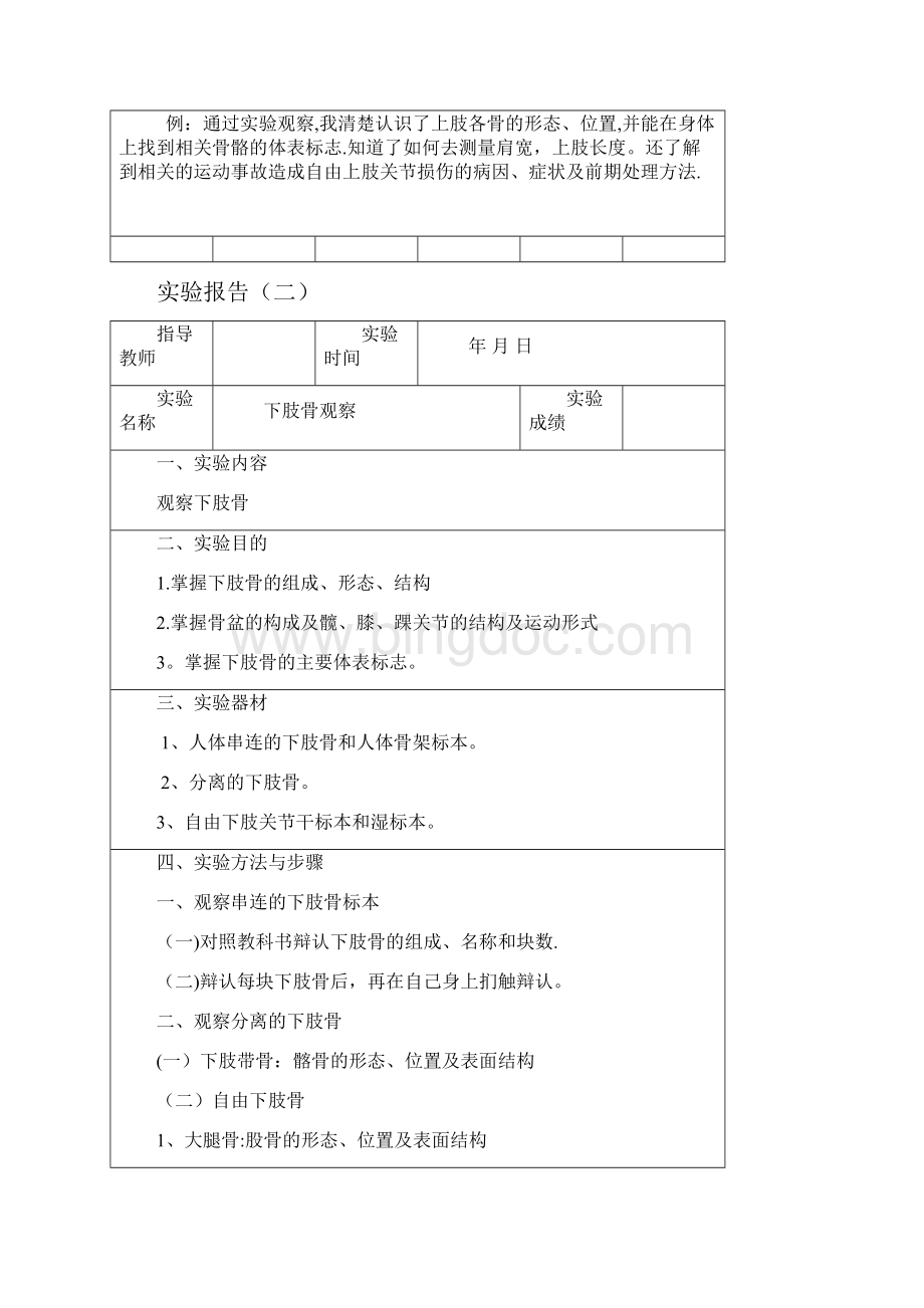 14级运动解剖学实验报告书Word文档格式.docx_第3页