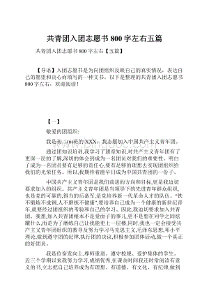 共青团入团志愿书800字左右五篇Word格式文档下载.docx