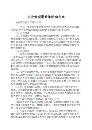 企业管理提升年活动方案.docx