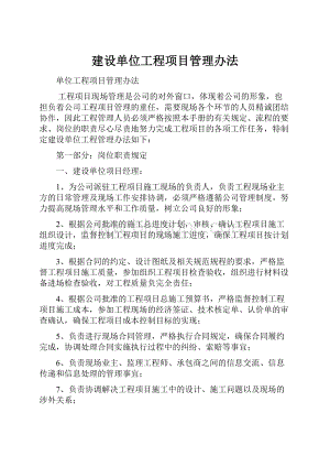 建设单位工程项目管理办法Word下载.docx