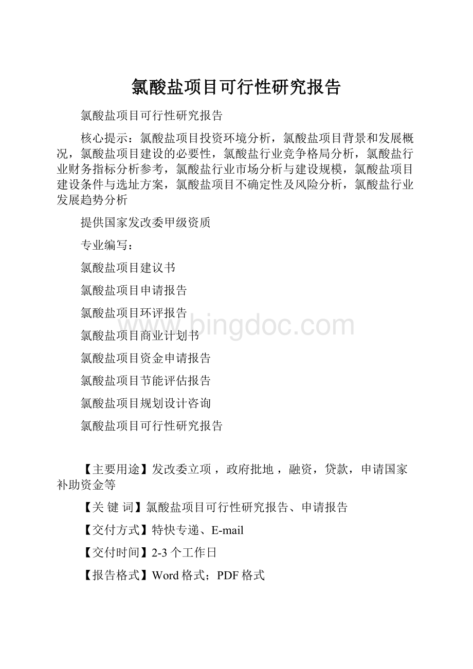 氯酸盐项目可行性研究报告Word文件下载.docx