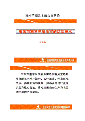 玉米苗期常见病虫害防治Word文件下载.docx