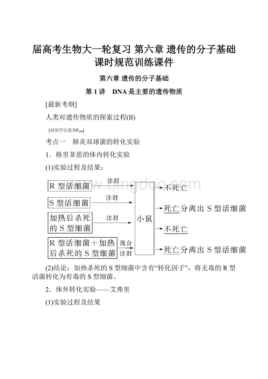 届高考生物大一轮复习 第六章 遗传的分子基础课时规范训练课件Word格式文档下载.docx_第1页