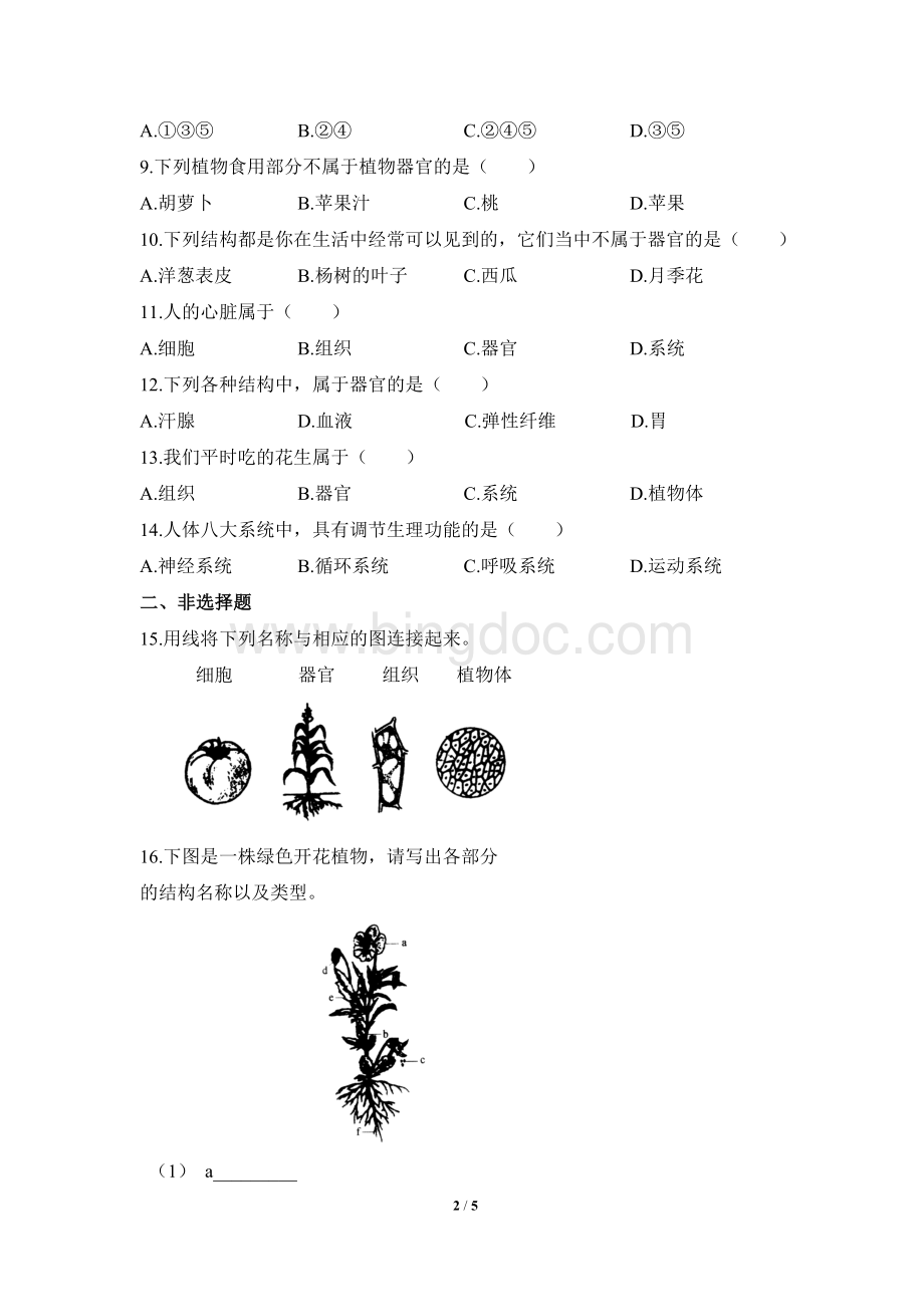 北师大版七年级生物上册4-2《生物体的器官、系统》同步练习1.doc_第2页