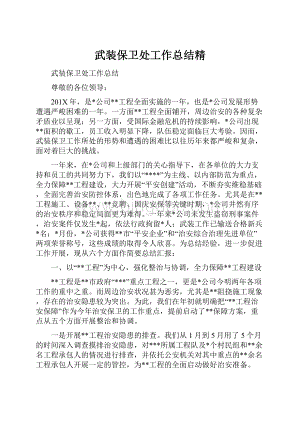 武装保卫处工作总结精Word下载.docx