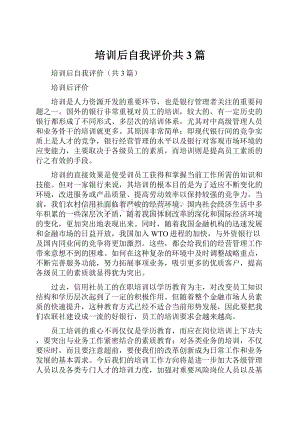 培训后自我评价共3篇.docx