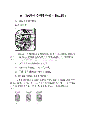 高三阶段性检测生物卷生物试题1Word格式文档下载.docx