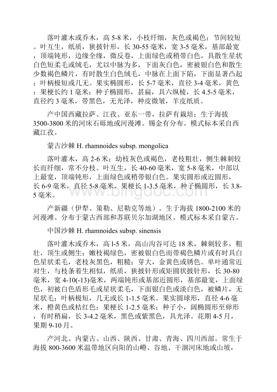 新疆沙棘调研报告.docx_第3页