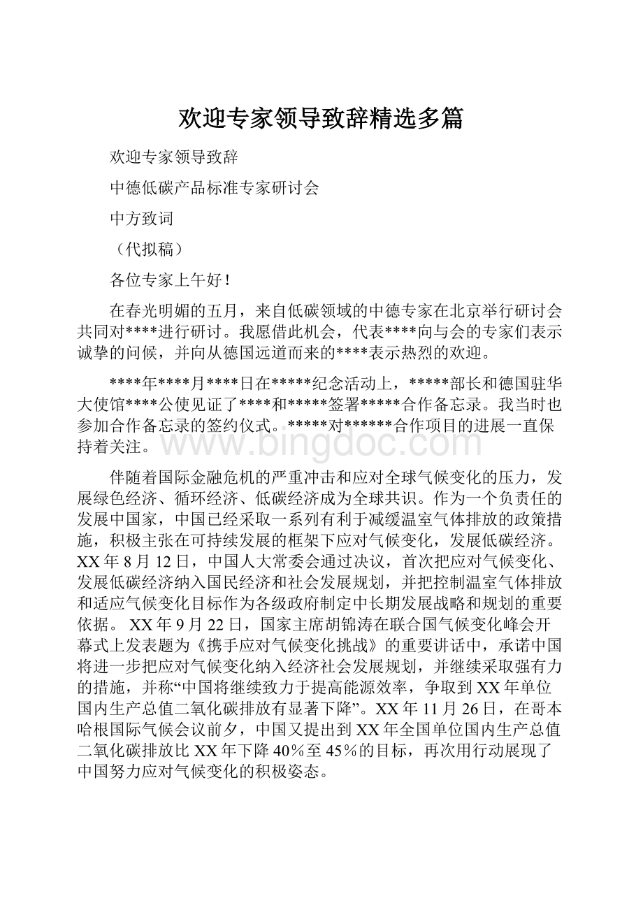 欢迎专家领导致辞精选多篇.docx_第1页