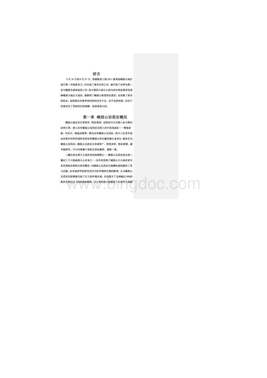 峨眉山野外地质实习专题报告岩浆岩.docx_第2页