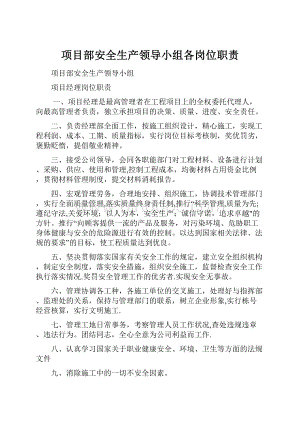 项目部安全生产领导小组各岗位职责.docx