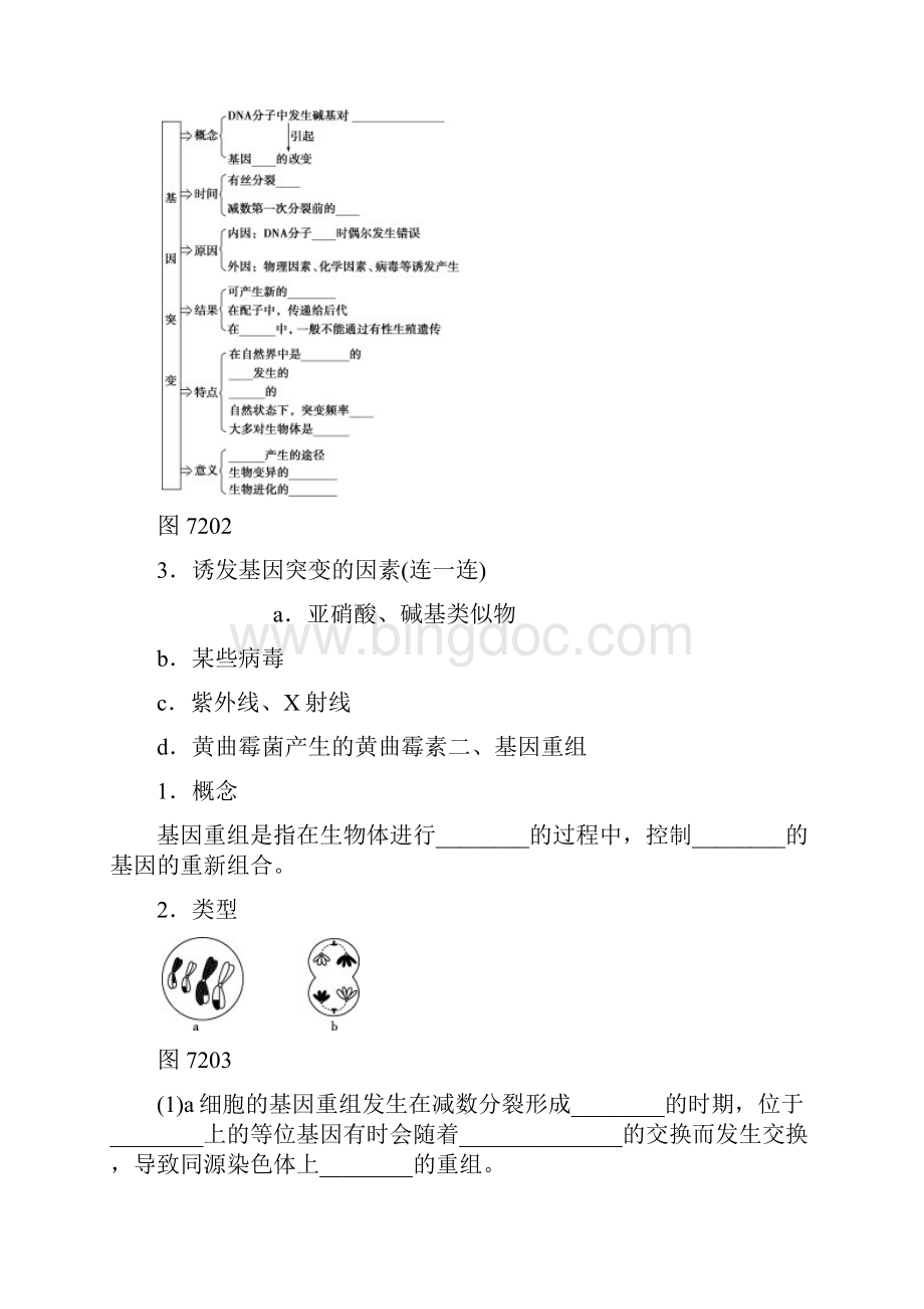 版高考生物全国卷人教一轮复习听课手册教学案第七单元 生物的遗传变异与进化.docx_第2页