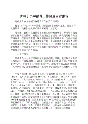 沙山子小学德育工作自查自评报告Word文件下载.docx