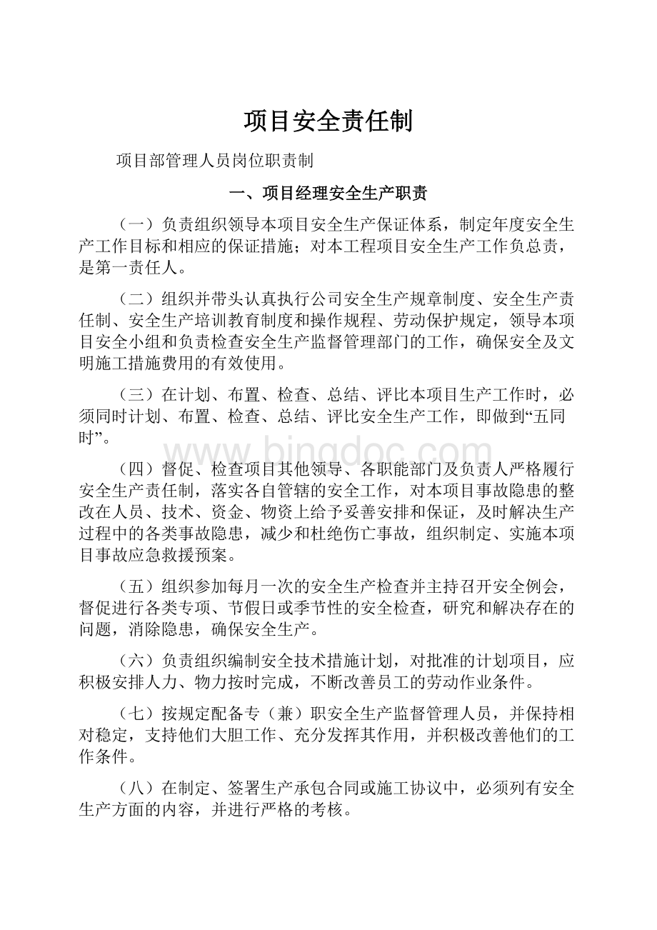 项目安全责任制文档格式.docx