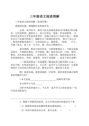 三年级语文阅读理解Word文档下载推荐.docx