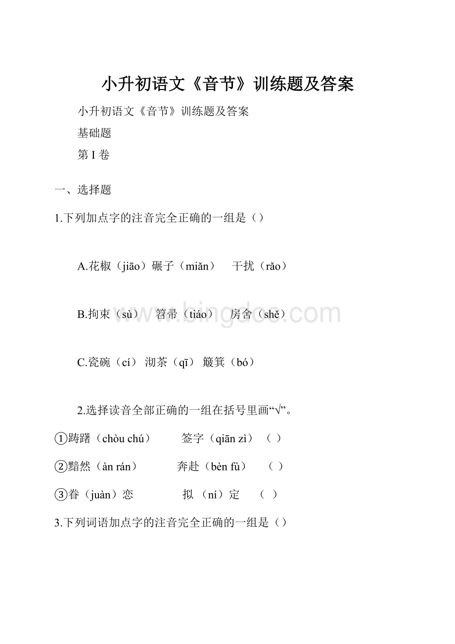 小升初语文《音节》训练题及答案Word文档格式.docx