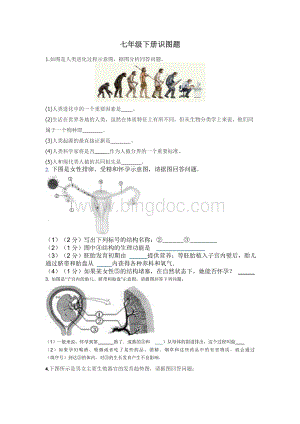 生物七年级下册生物期中识图题.doc