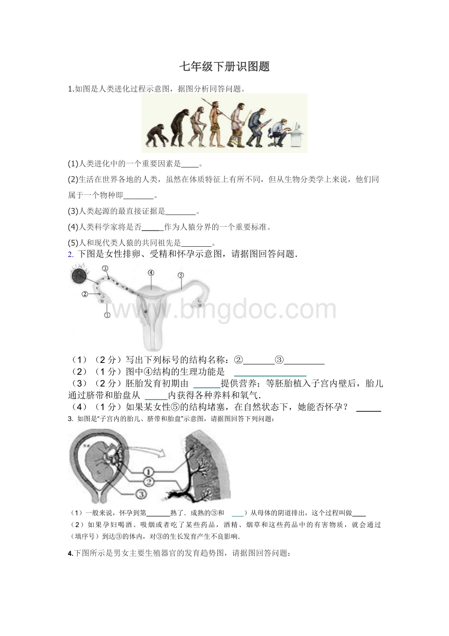 生物七年级下册生物期中识图题.doc_第1页