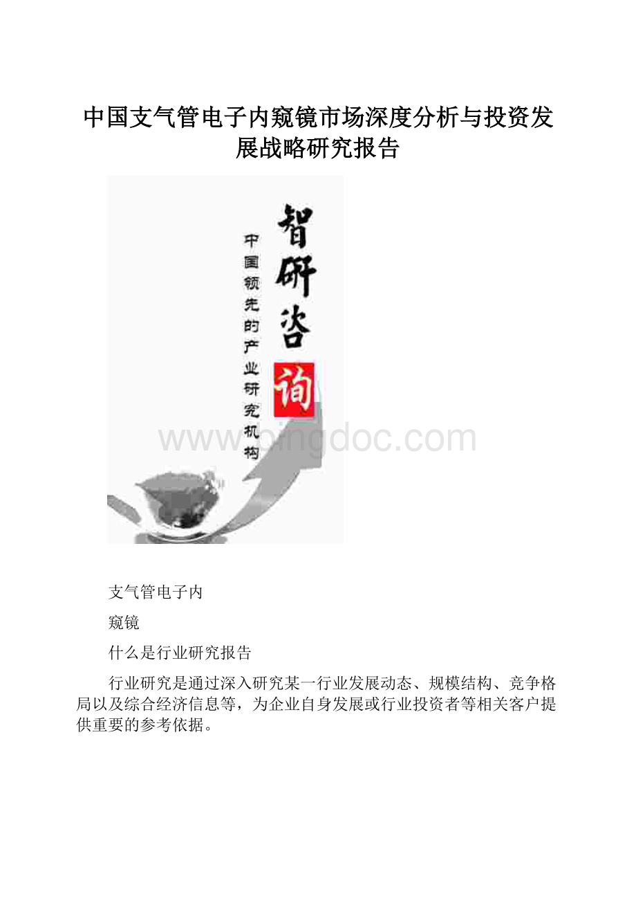 中国支气管电子内窥镜市场深度分析与投资发展战略研究报告Word格式.docx_第1页