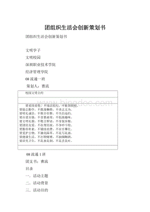 团组织生活会创新策划书Word下载.docx