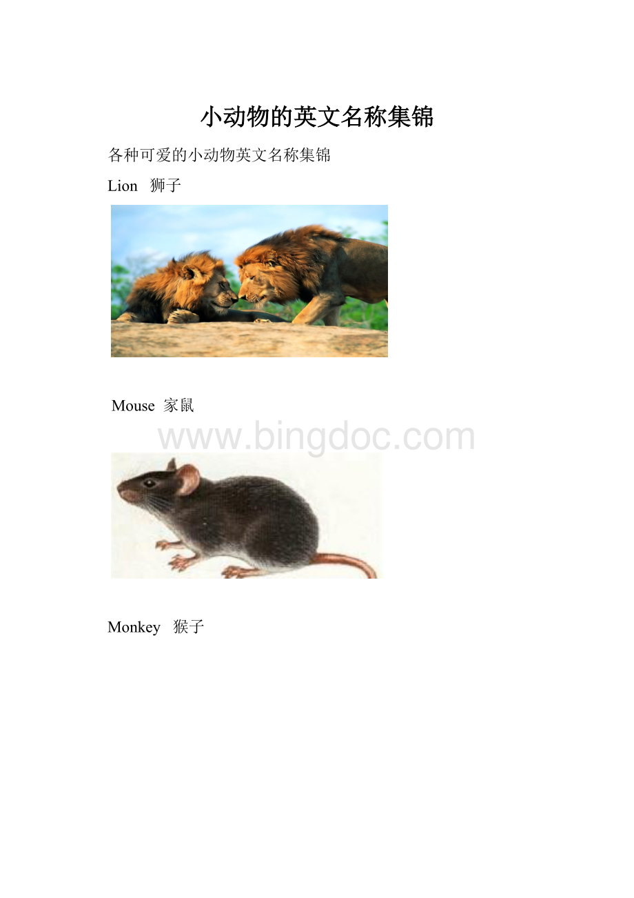 小动物的英文名称集锦.docx_第1页